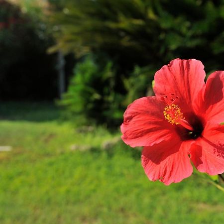 Hotel Funtana Ena Bari Sardo Buitenkant foto